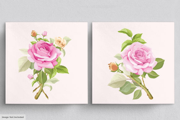 Download Beautiful Roses Hand Drawn Illustrations - Illustrations Collection