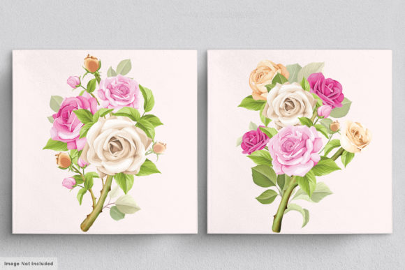Download Beautiful Roses Hand Drawn Illustrations - Illustrations Collection