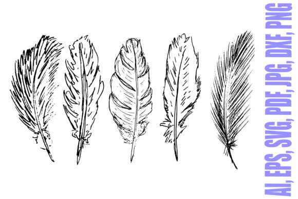 Download Five Hand Drawn Feathers Illustrations - Illustrations Collection