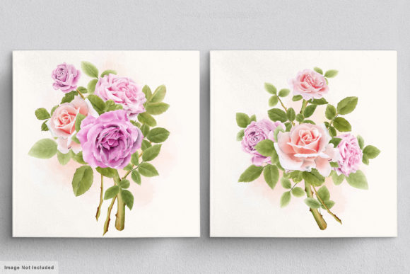 Download Beautiful Roses Hand Drawn Illustrations - Illustrations Collection