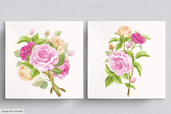 Download Beautiful Roses Hand Drawn Illustrations - Illustrations Collection