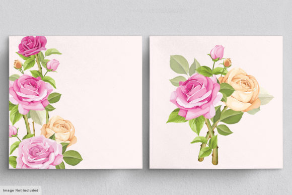 Download Beautiful Roses Hand Drawn Illustrations - Illustrations Collection