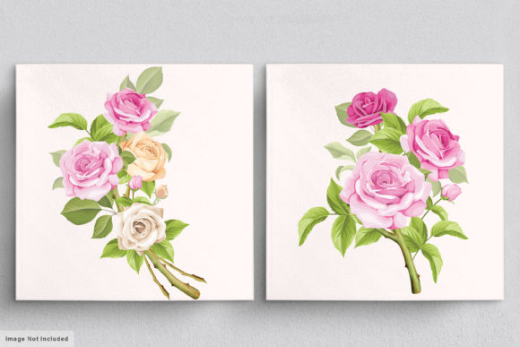 Download Beautiful Roses Hand Drawn Illustrations - Illustrations Collection