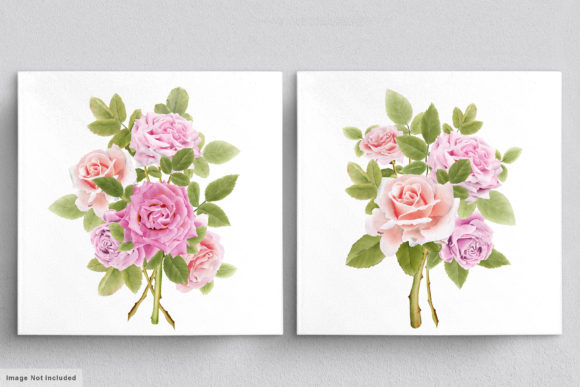 Download Beautiful Roses Hand Drawn Illustrations - Illustrations Collection