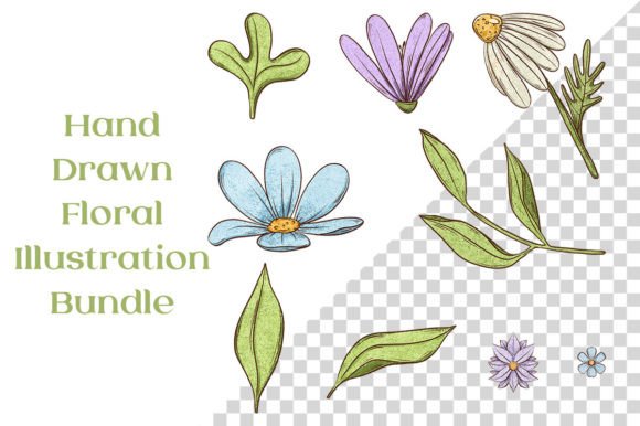 Download Cute 9 Floral Hand Drawn Illustrations - Illustrations Collection